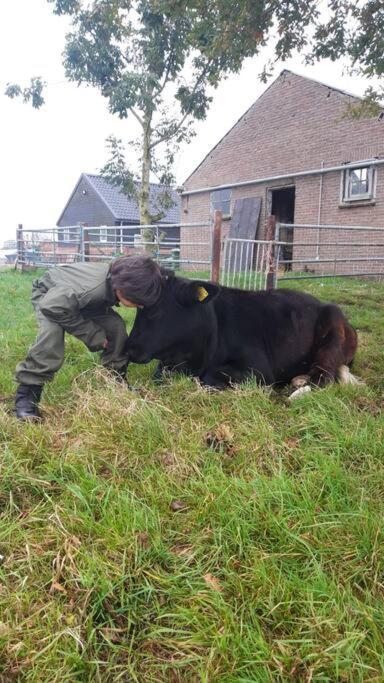De Kaasmakerij - Ruim vakantiehuisje op Huize Blokland Hem Buitenkant foto