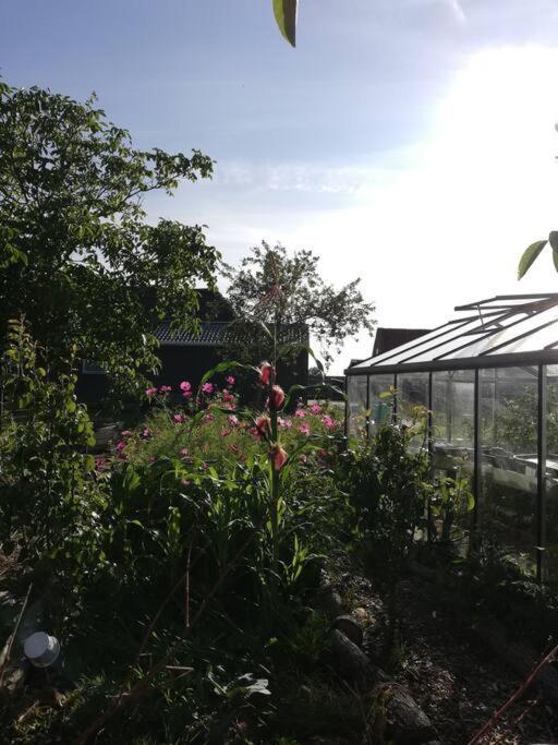 De Kaasmakerij - Ruim vakantiehuisje op Huize Blokland Hem Buitenkant foto